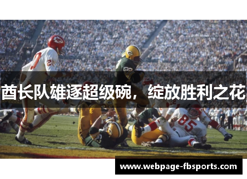 酋长队雄逐超级碗，绽放胜利之花