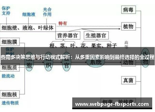 费南多决策思维与行动模式解析：从多重因素影响到最终选择的全过程