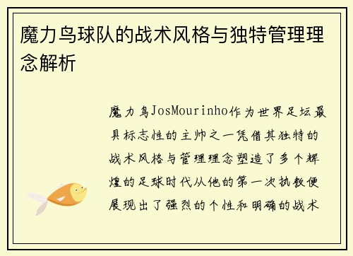 魔力鸟球队的战术风格与独特管理理念解析 魔力鸟球队的战术风格与独特管理理念解析